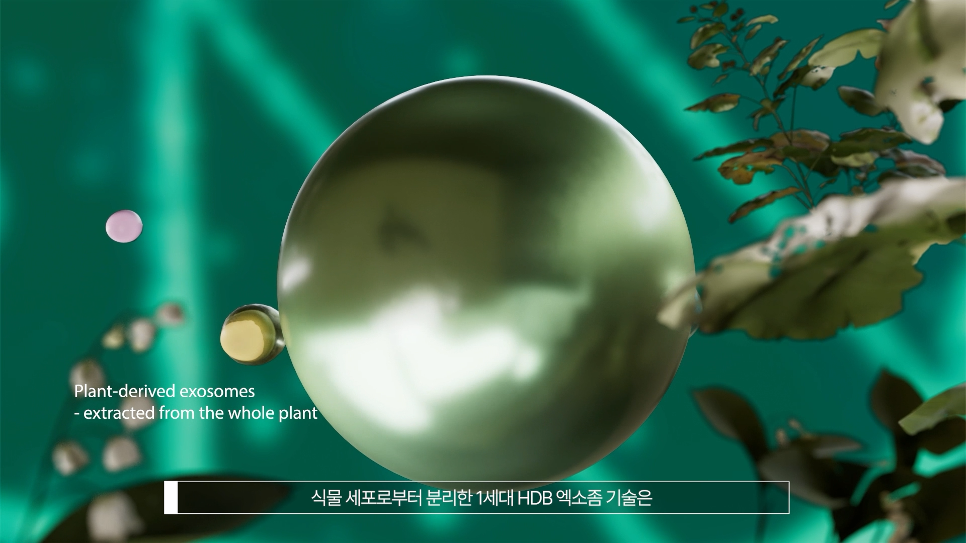 [현대바이오랜드] HDB엑소좀 영상 제작 및 모션그래픽 포트폴리오