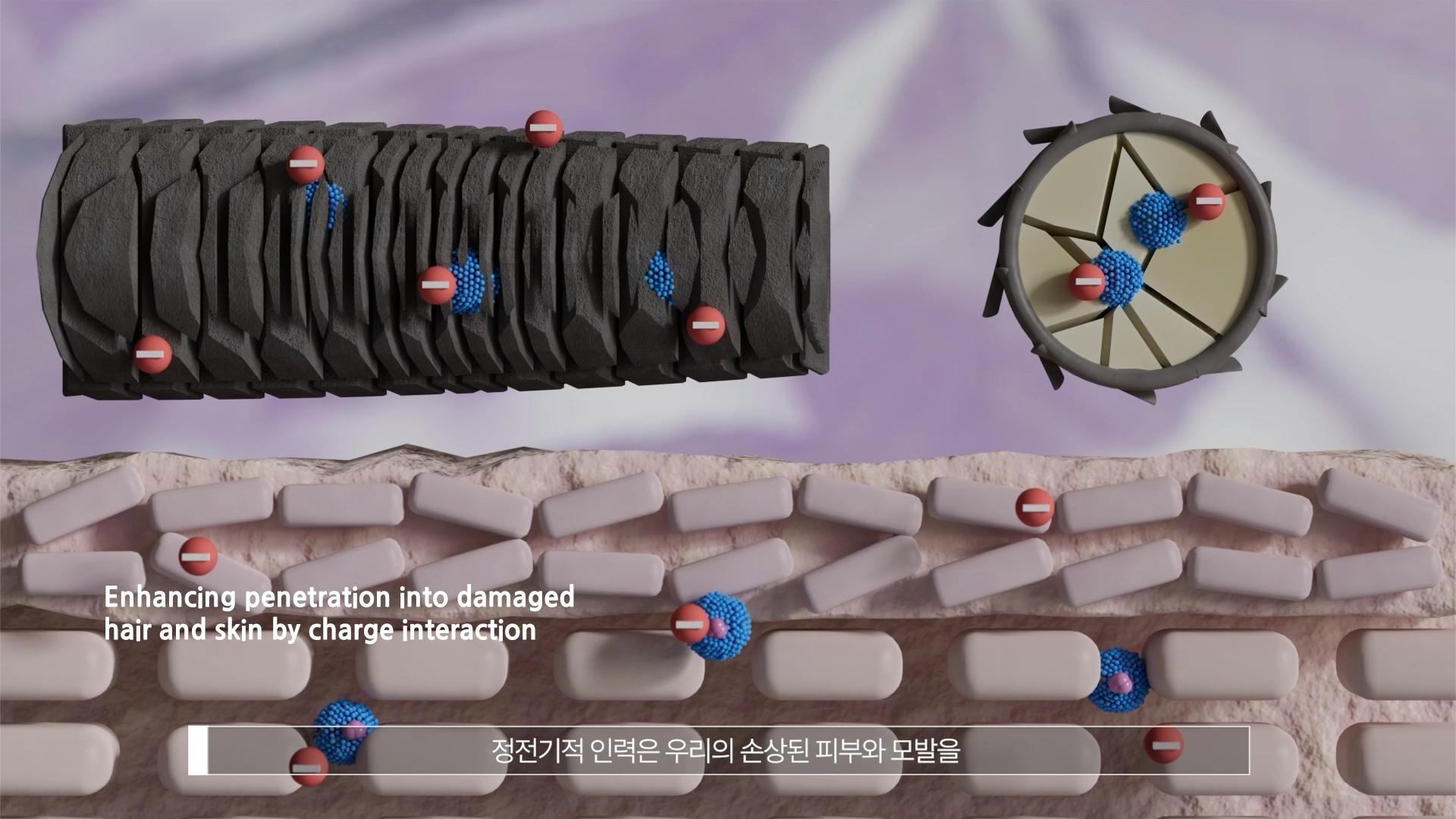[현대바이오랜드] HDB엑소좀 영상 제작 및 모션그래픽 포트폴리오
