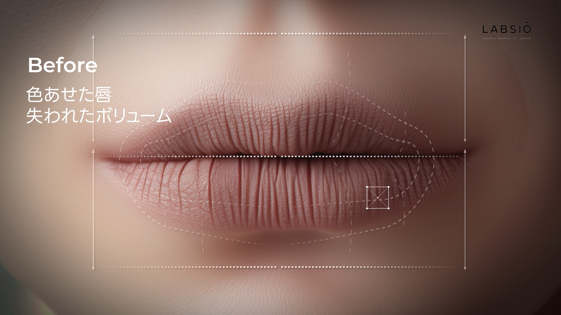 [LABSIO] Muse Fill Youthfull Lip 영상 제작 및 모션그래픽 포트폴리오