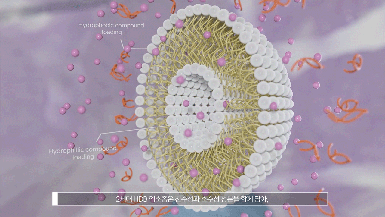 [현대바이오랜드] HDB엑소좀